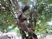 chauve-souris agonisant chauve-souris agonisant