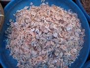 crevettes séchées crevettes séchées