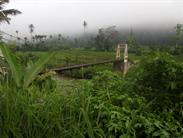 pont pont