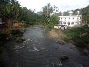 rivière et mosquée rivière et mosquée