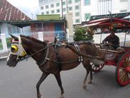 taxi taxi