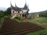 maison Koto Gadang