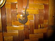 gecko gecko
