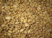 grains de café nettoyés et séchés grains de café nettoyés et séchés