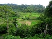 paysage paysage
