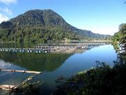 lac Maninjau et bassins d'élevage