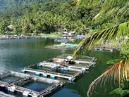 lac Maninjau et bassins d'élevage