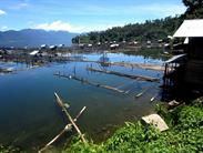 tour du lac retour sur Maninjau