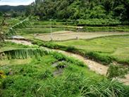 vers Bukittinggi vers Bukittinggi