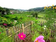 vers Bukittinggi vers Bukittinggi