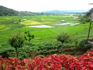 vers Bukittinggi vers Bukittinggi