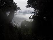 la vue est bouchée la vue est bouchée