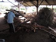 fabrication du sucre de canne