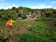 village village
