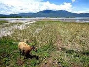 lac Kerinci