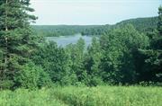 lac et forêt (Lit)