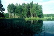rivière Gauja (Let)