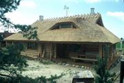maison rondins (Est)