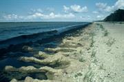 bord de mer vers Pärnu(Est)