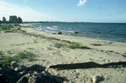 sur l'ile de Kihnu (Est)