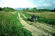 piste vers Padliski (Est)
