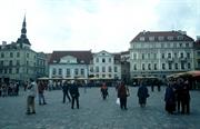 Tallin