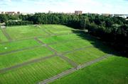 Tallin song ground