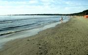 plage nord de Tallin