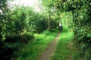 piste cyclable (All)
