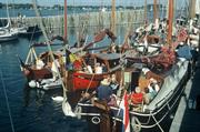 Veere (Belg)