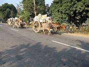 sur la NH37