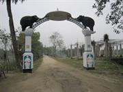 entre temple shivate