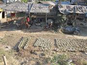 potiers Dibrugarh