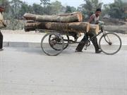 vers Alipur Duar
