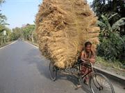 vers Alipur Duar