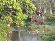 safari parc Jaldhapara
