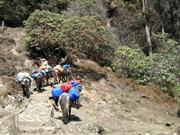 la descente sur Tshoka