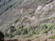 le chemin