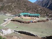 Dole 4084m