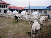 fours solaires  Dingboche