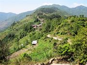 Gul Bhanjiang