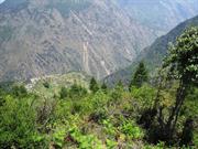 Thulo Syabru 2250m