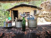 tea-house