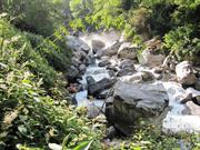 rivire Langtang