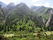 valle de Langtang
