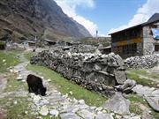 Langtang 3400m