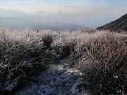 Dhukphu 4040m