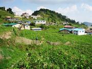 Sermathang