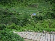 Chhomrong  Sinuwa