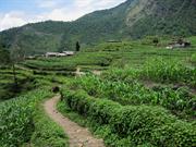 Sinuwa 2360m